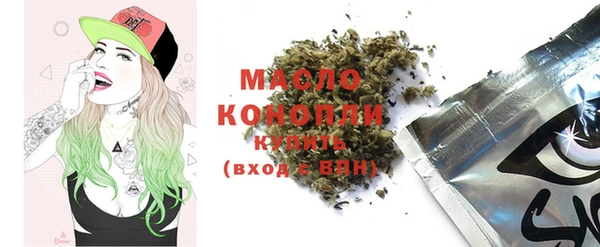 скорость Каменка