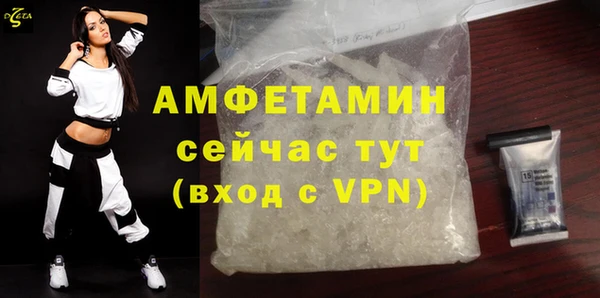 стафф Каменногорск
