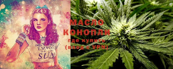 скорость Каменка