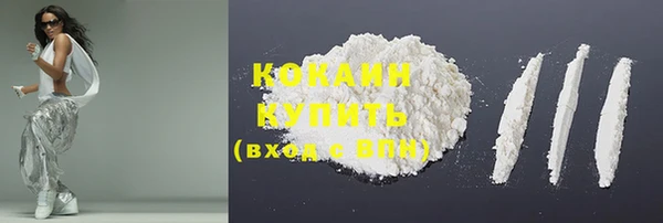 скорость Каменка