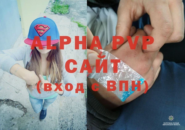 скорость Каменка