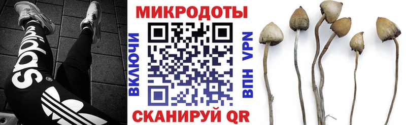 Купить  Усть-Лабинск  Галлюциногенные грибы мухоморы 
